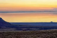 Antelope Island Wildlife Expedition thumbnail 3