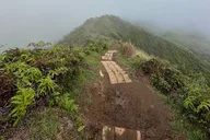 Maui Customized Half Day Tour thumbnail 5