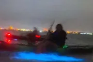 Orlando Bioluminescence Kayak Tour thumbnail 6