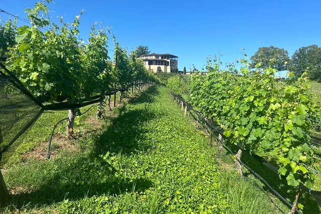 Dahlonega Wine Tour from Atlanta - Image 4