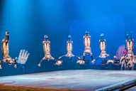 Orlando Cirque du Soleil Show Ticket thumbnail 6