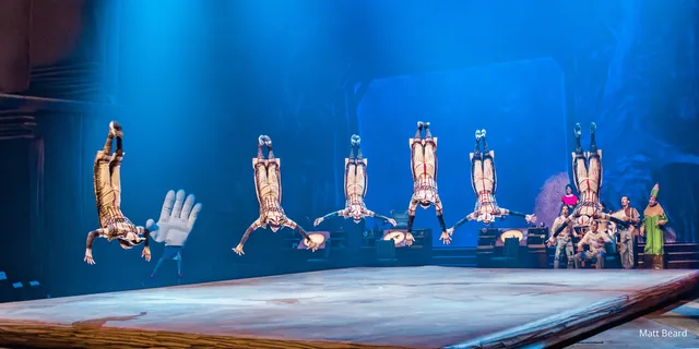 Orlando Cirque du Soleil Show Ticket - Image 6