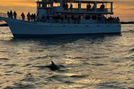 Destin Dolphin Cruise at Sunset thumbnail 5
