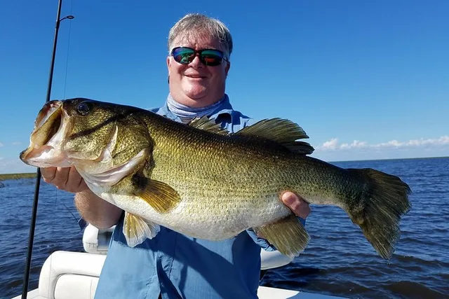 Fort Myers Fishing Trip on Lake Okeechobee - Image 5