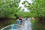 Sarasota Clear Kayak Mangrove Tunnel Tour thumbnail 2