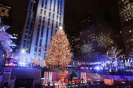 New York Central Park Christmas Lights Carriage Ride 45 min thumbnail 5