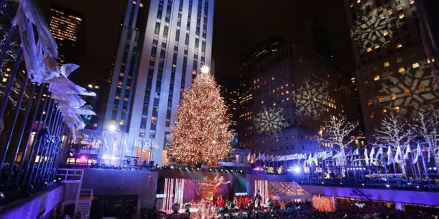 New York Central Park Christmas Lights Carriage Ride 45 min - Image 5