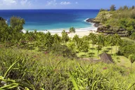 Kauai Allerton Garden Guided Walking Tour 2.5 hr thumbnail 6
