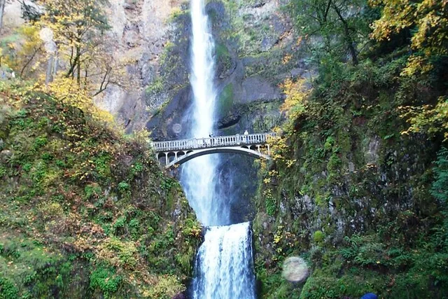 Portland Mt Hood & Columbia River Private Tour - Image 4