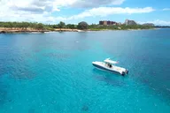 Ko Olina Wildlife Snorkel Charter thumbnail 6