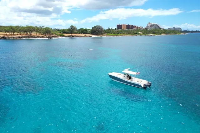 Ko Olina Wildlife Snorkel Charter - Image 6