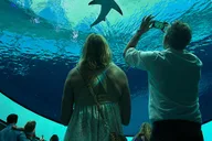 Miami Frost Science Museum and Planetarium Ticket thumbnail 1