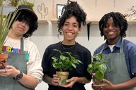 New York Plant Therapy Experience thumbnail 3