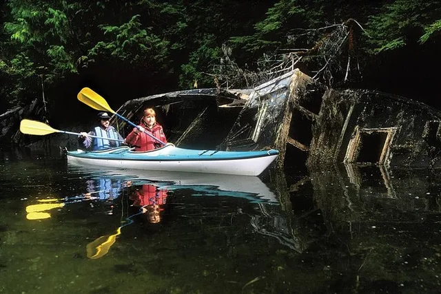 Sitka Sea Kayaking Adventure - Image 5