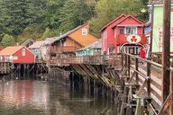 Ketchikan Private Wildlife Tour 3 hr thumbnail 4