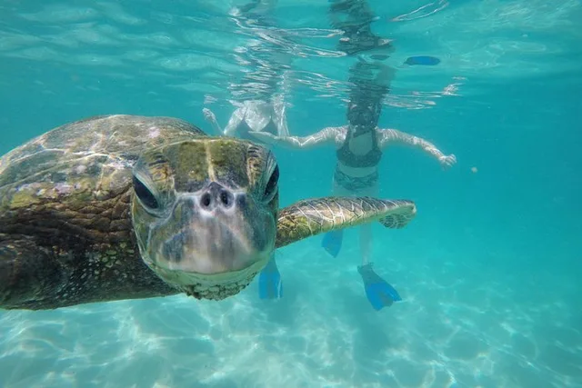 Hawaii Full Day Adventure - Image 4
