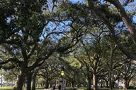 Charleston History and Bar Walking Tour thumbnail 2