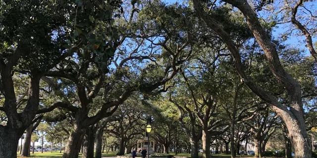 Charleston History and Bar Walking Tour - Image 2