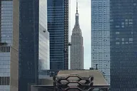 New York City Dog Lovers Walking Tour thumbnail 6