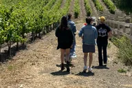 Santa Barbara Wine Country Tour with Lunch thumbnail 2
