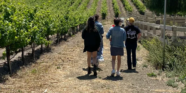 Santa Barbara Wine Country Tour with Lunch - Image 2