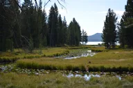 Yellowstone DeLacy Creek Trail Hike to Shoshone Lake thumbnail 5
