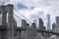 New York City Highlights Tour Midtown 1 hr thumbnail 6