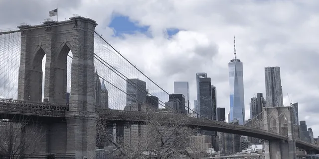 New York City Highlights Tour Midtown 1 hr - Image 6