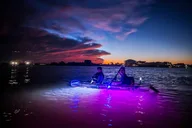 Austin Kayak Tour on the Lower Colorado River thumbnail 6