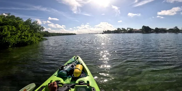 Anna Maria Pedal Kayak Eco-Tour - Image 6