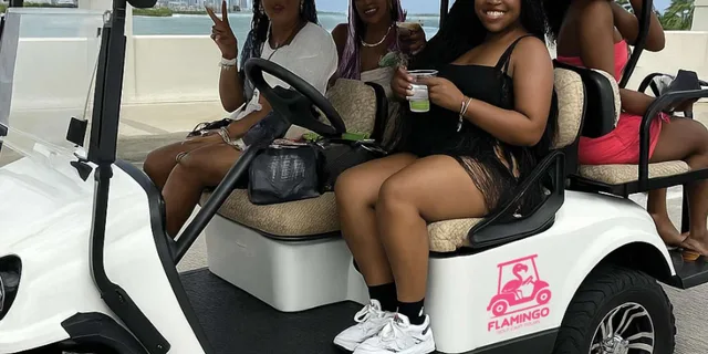 Miami Golf Cart Tour with Local Guide - Image 6