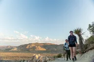 Joshua Tree Small Group Tour and Hike thumbnail 1