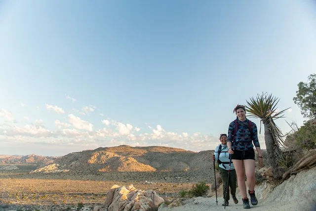 Joshua Tree Small Group Tour and Hike - Image 1