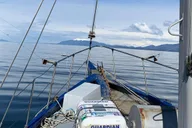 Sitka Whale Watching and Hot Springs Tour thumbnail 1