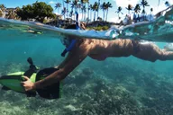 Lahaina Kapalua Bay Eco Sea Scooter Tour thumbnail 2