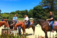 San Francisco Horseback Riding and Muir Woods Adventure thumbnail 1