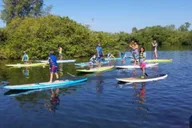 Sarasota Mangrove Kayak Tour to Hidden Beach thumbnail 1