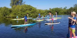 Sarasota Mangrove Kayak Tour to Hidden Beach