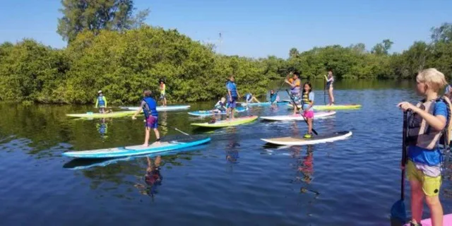 Sarasota Mangrove Kayak Tour to Hidden Beach - Image 1