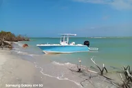 Cayo Costa Shelling Adventure thumbnail 6