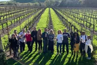 San Francisco Napa & Sonoma Wine Tour thumbnail 4