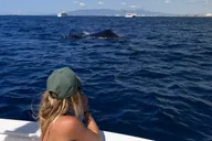 Honolulu Whale Watching Tour 2 hr thumbnail 5