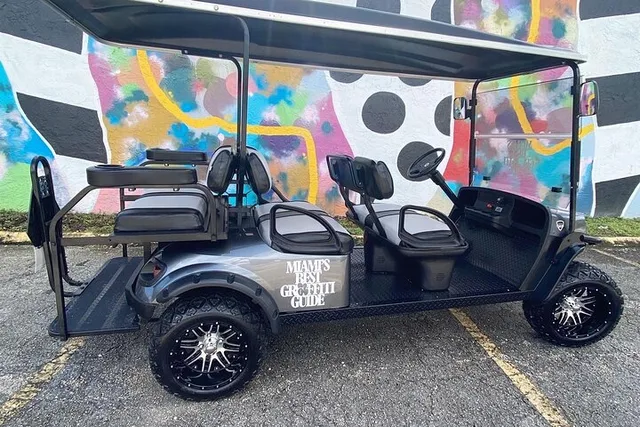 Miami Street Art Tour by Artist in 1 hr - Image 4