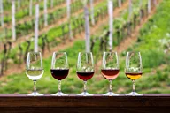 Sedona Wine Tour thumbnail 2