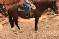 Las Vegas Horseback Riding Tour thumbnail 3