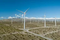 Palm Springs Windmill Golf Cart Tour thumbnail 5