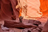 Antelope Canyon Kayak and Hike Slot Canyon thumbnail 6