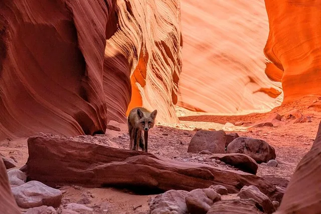 Antelope Canyon Kayak and Hike Slot Canyon - Image 6
