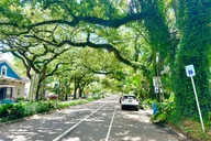 New Orleans Driving Tour with Bayou St. John thumbnail 6