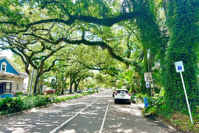 New Orleans Driving Tour with Bayou St. John - Image 6